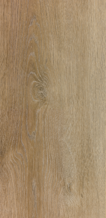 T8 AC5 529 ROBLE ALMENDRA 5G
