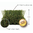 CESPED AUGUSTA 2025 38mm 2x25m